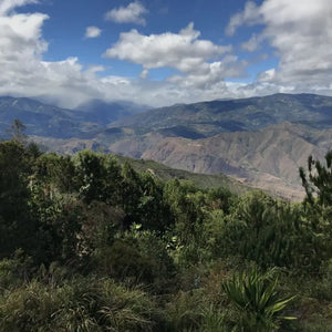 Colombia - El Guayabo