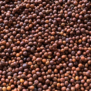 Colombia - Jairo Arcila