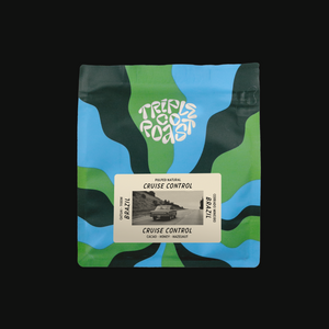 Cruise Control (Brazil Classico) Subscription