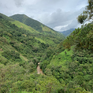 Colombia Gaitania