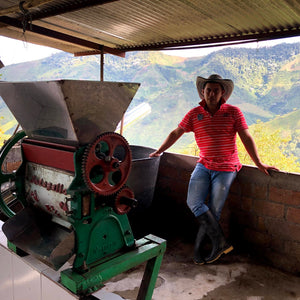 Colombia Sugarcane Decaf