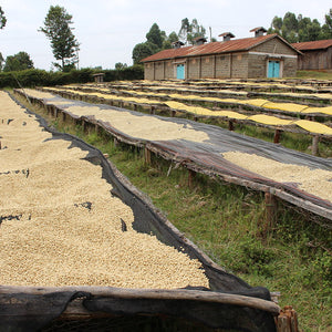 Kenya KII AA