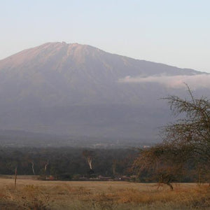 Tanzania Mbili Twiga