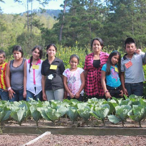 Honduras - La Mujeres De Comsa