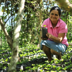 Honduras - La Mujeres De Comsa