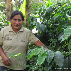 Honduras - La Mujeres De Comsa