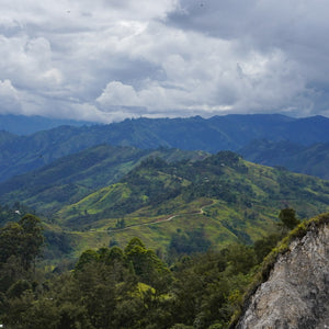 Papua New Guinea - Elimbari