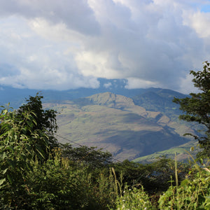 Peru San Ignacio