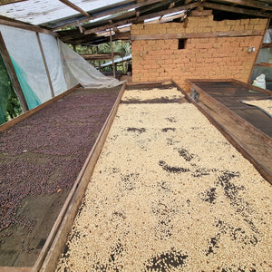 Peru San Ignacio