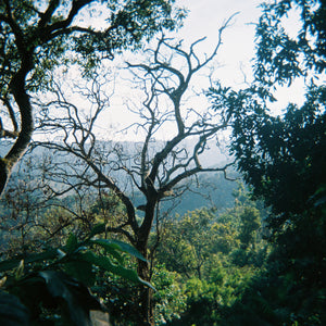 El Salvador Los Nogales